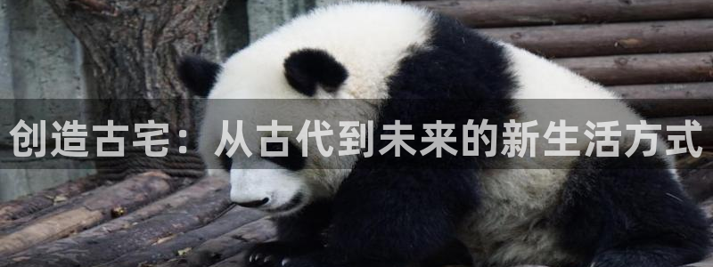 富联娱乐总代理是谁呀：创造古宅：从古代到未来的新生活方式