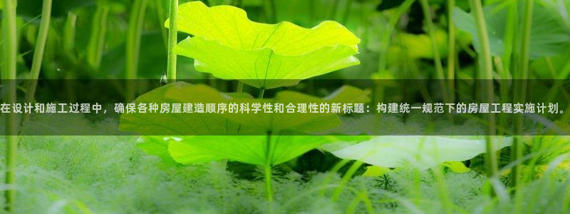 富联娱乐app更新不了：在设计和施工过程中，确保各种房屋建造顺序的科学性和合理性的新标题：构建统一规范下的房屋工程实施计划。