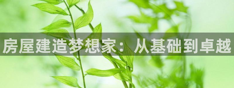 富联娱乐总代理电话号码：房屋建造梦想家：从基础到卓越