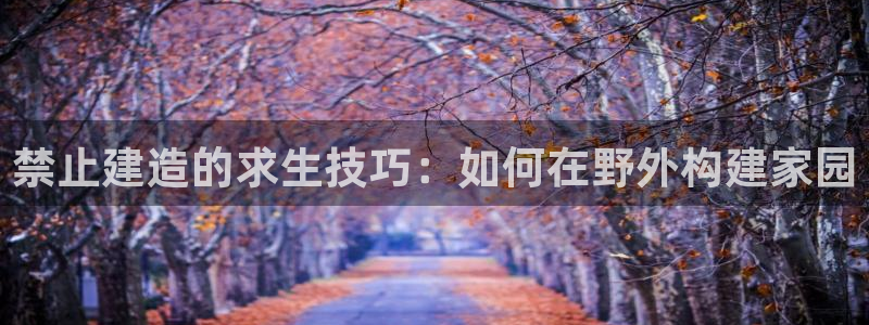 富联娱乐登录链接在哪看：禁止建造的求生技巧：如何在野外构建家园