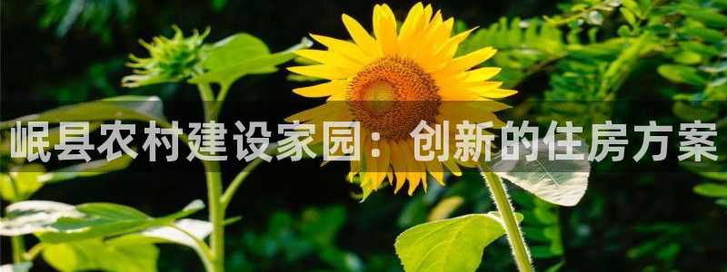 富联娱乐招商电话：岷县农村建设家园：创新的住房方案