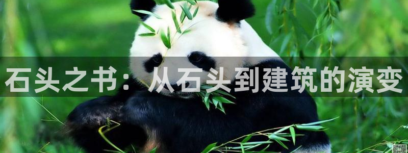 富联娱乐首页网址大全