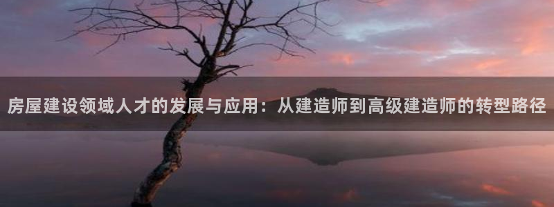 富联娱乐注册定唐老鸭779O3：房屋建设领域人才的发展与应用：从建造师到高级建造