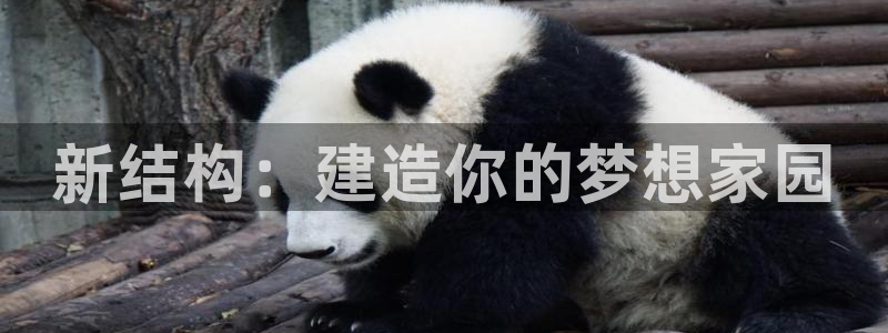 富联娱乐代理是谁开的店：新结构：建造你的梦想家园