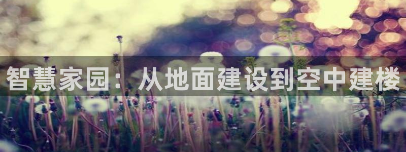 富联娱乐平台注册地址：智慧家园：从地面建设到空中建楼