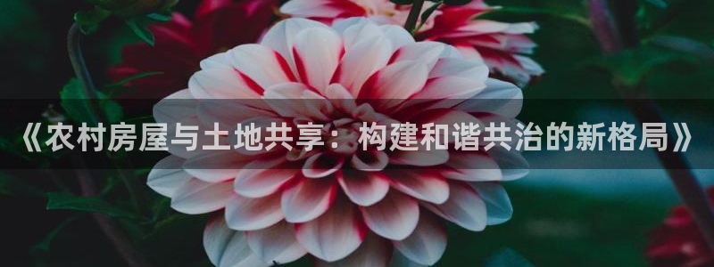 富联娱乐在线网站首页：《农村房屋与土地共享：构建和谐共治的新格局》