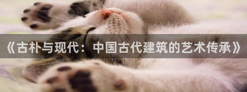 富联娱乐招商包判官333OO：《古朴与现代：中国古代建筑的艺术传承》