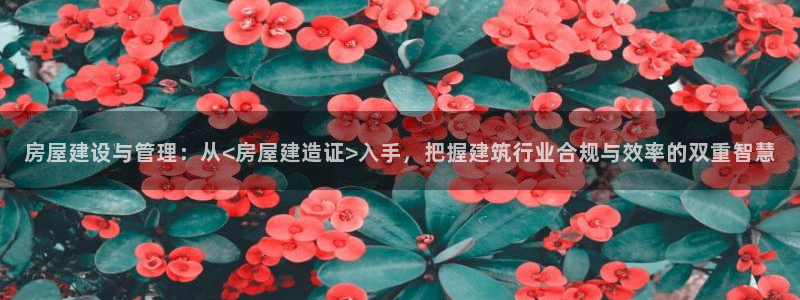 富联娱乐乞67五壹叁八：房屋建设与管理：从<房屋建造证>入手，把握建筑行业合规与效率的双重智慧