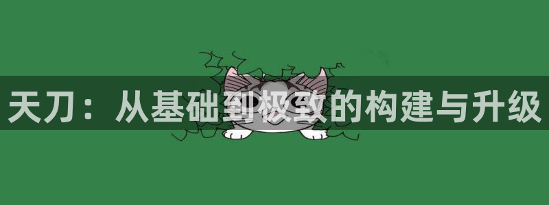 富联娱乐服务公司：天刀：从基础到极致的构建与升级