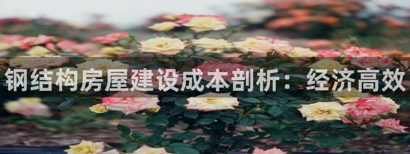 富联娱乐平台：钢结构房屋建设成本剖析：经济高效