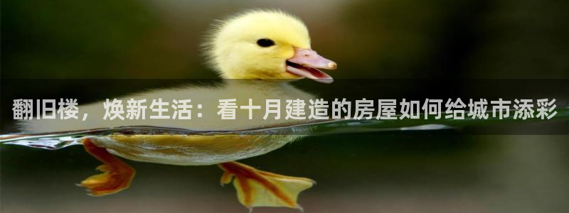 富联娱乐注册登录失败：翻旧楼，焕新生活：看十月建造的房屋如何给城市添彩