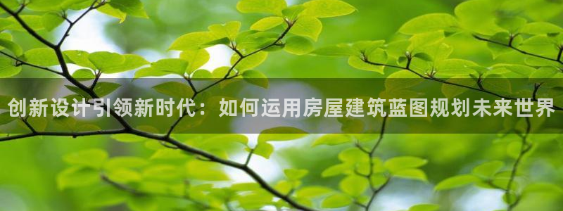 富联娱乐服务公司：创新设计引领新时代：如何运用房屋建筑蓝图规划未来世界