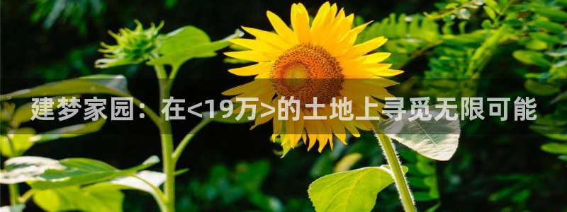 富联娱乐官方网站下载安装：建梦家园：在<19万>的土地上寻觅无限可能