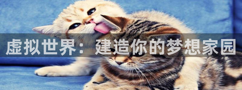 富联娱乐招商陆判官333OO：虚拟世界：建造你的梦想家园