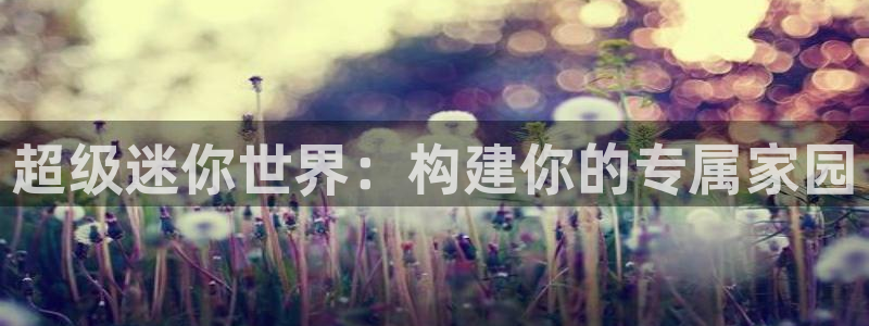 富联娱乐平台注册地址：超级迷你世界：构建你的专属家园