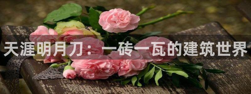 富联娱乐乃六七五一38：天涯明月刀：一砖一瓦的建筑世界