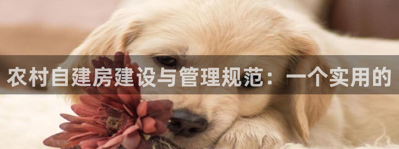 富联娱乐主管自判官333OO：农村自建房建设与管理规范：一个实用的