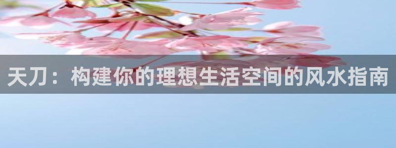 富联娱乐官方网站首页登录：天刀：构建你的理想生活空间的风水指南